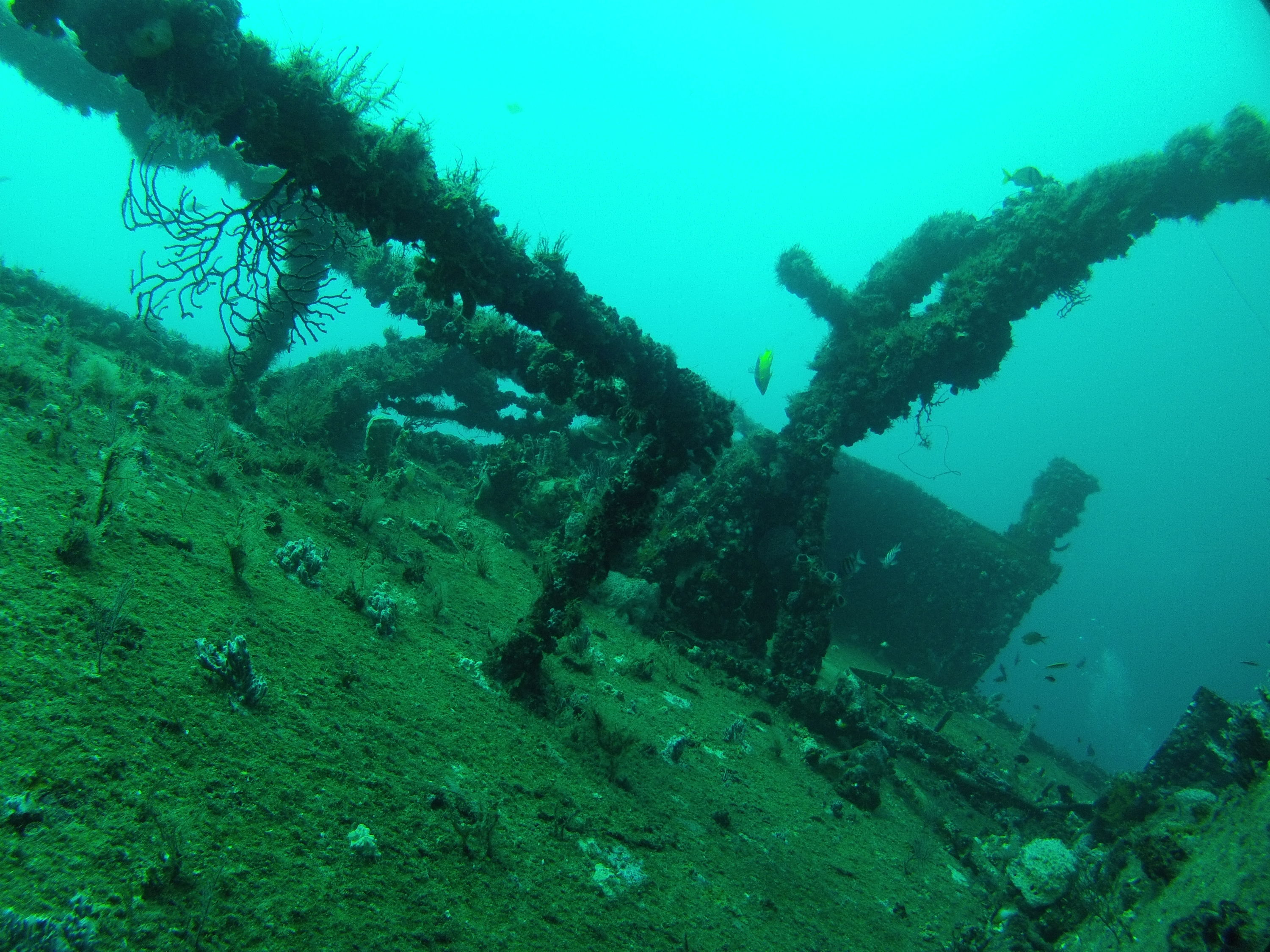 Shipwreck topside