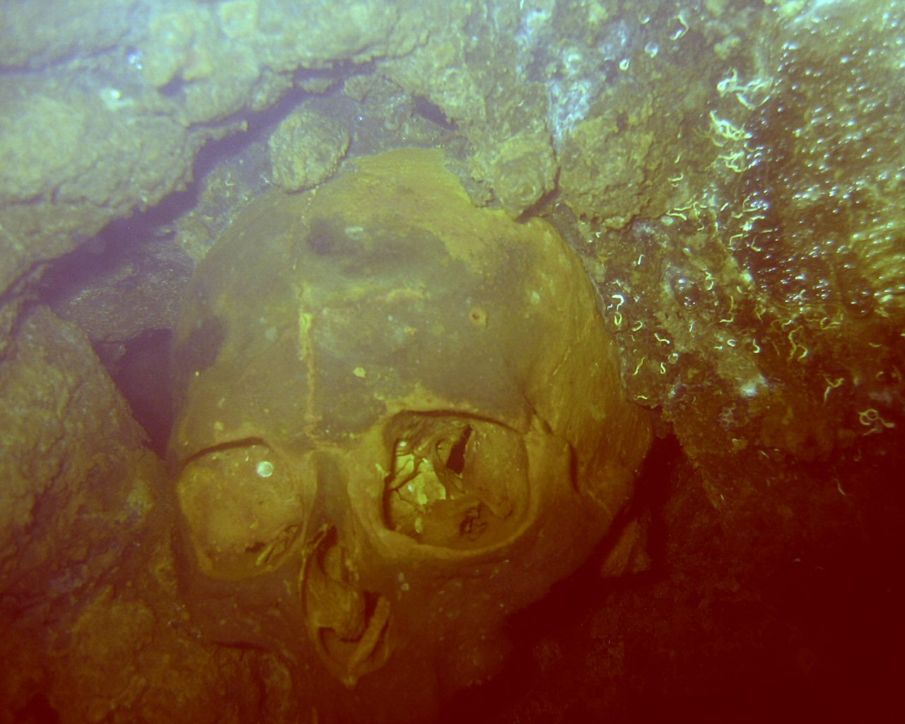 Skull in the Yamagiri Engine Room