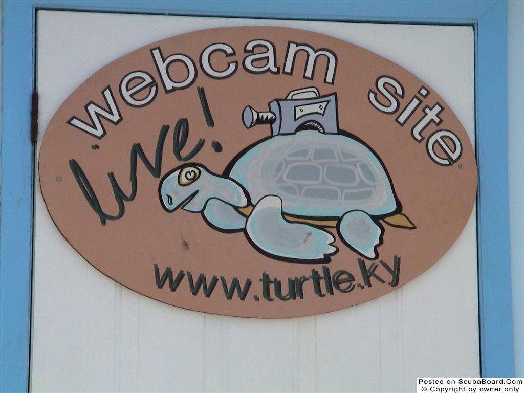 Turtle Farm Sign