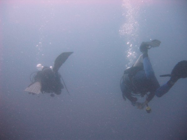 two divers