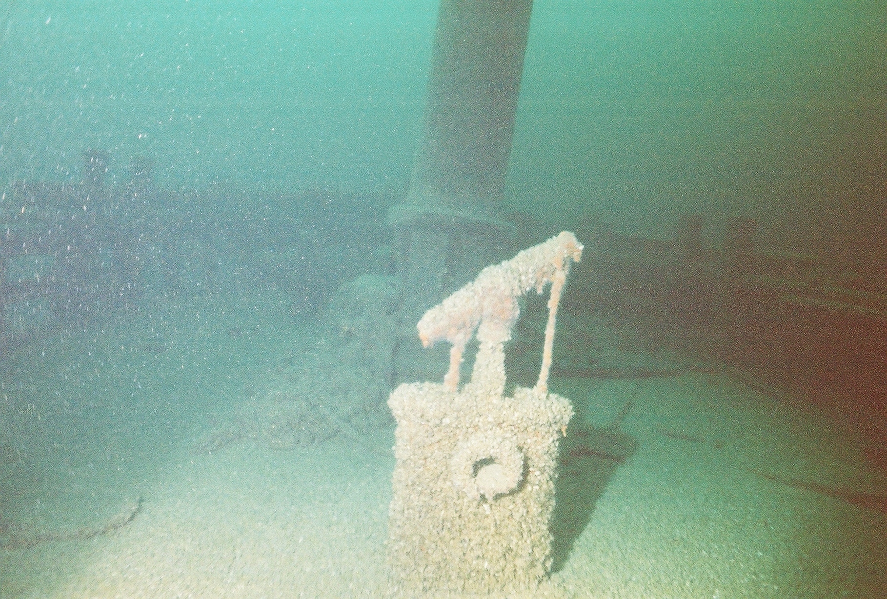 W.B Allen ship wreck