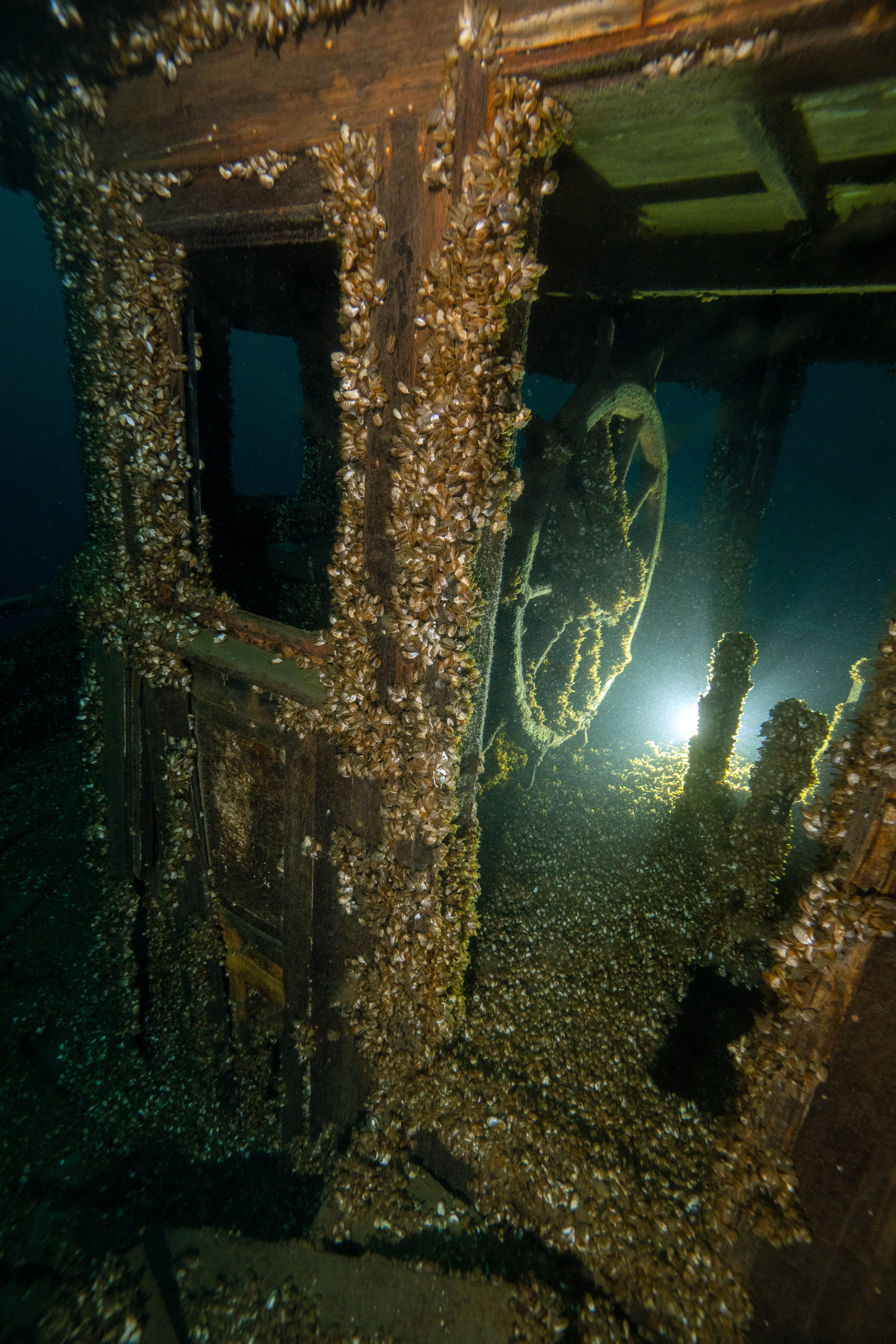 Wreck of SS Manasoo