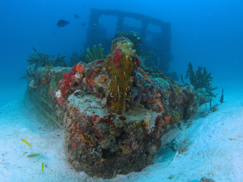 Wreck Of The Belzona Tug